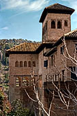 Alhambra  Vista sul Palazzo del Partal con la Torre de las Damas. 